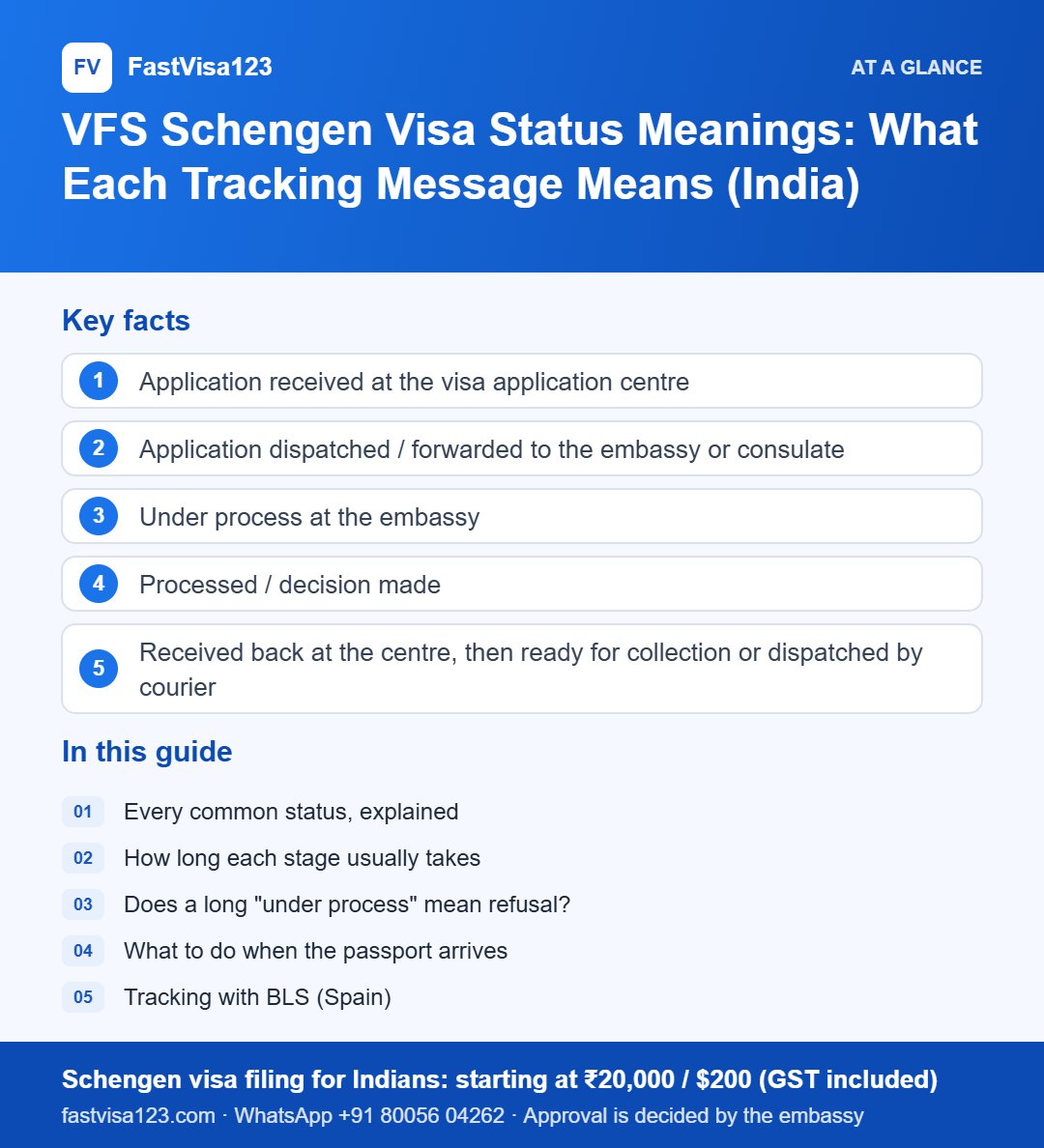 Infographic: VFS Schengen Visa Status Meanings: What Each Tracking Message Means (India) – key facts at a glance